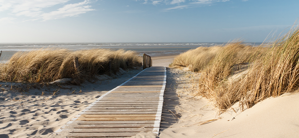 Holzsteg zwischen Dünen zum Strand und Wasser