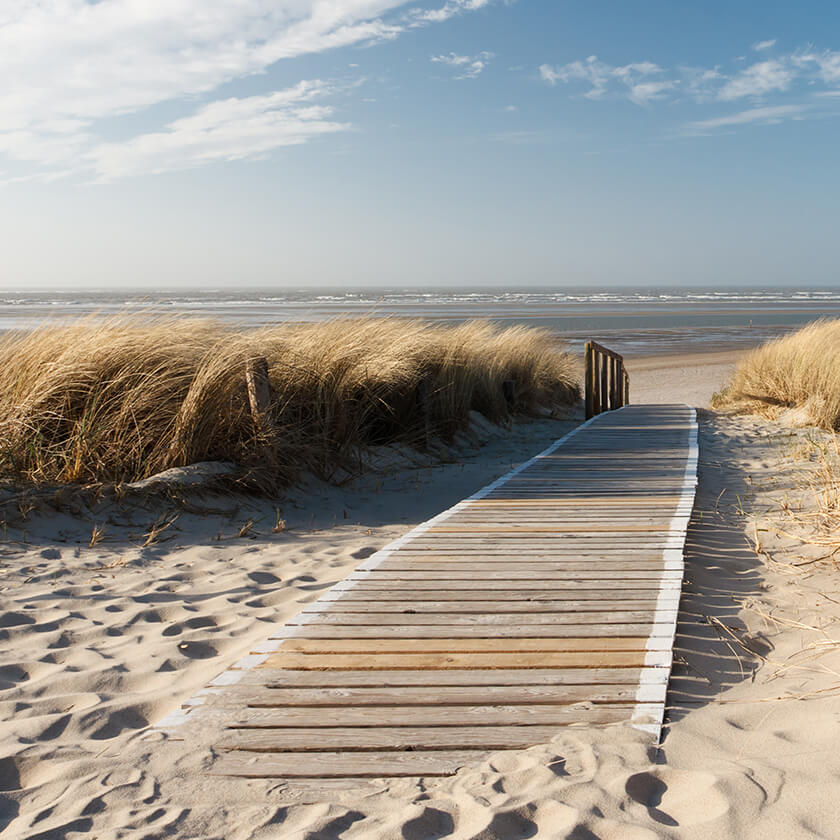 Holzsteg zwischen Dünen zum Strand und Wasser