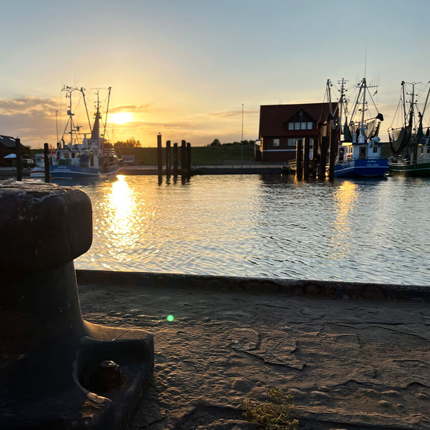 Kutterhafen Fedderwardersiel bei Sonnenuntergang