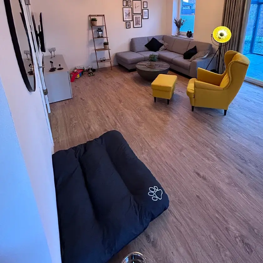 Hundedecke und Näpfe im Haus, Wohnzimmer im Hintergrund