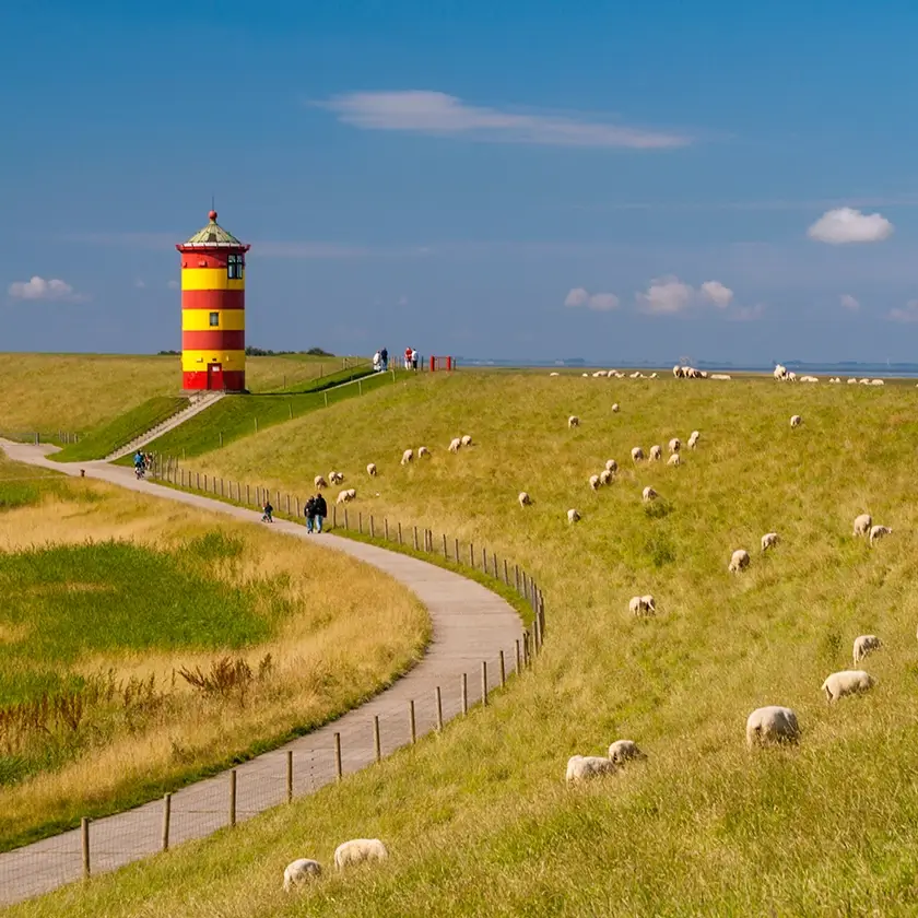 Schafe weiden am Deich, rot-gelber Leuchtturm im Hintergrund